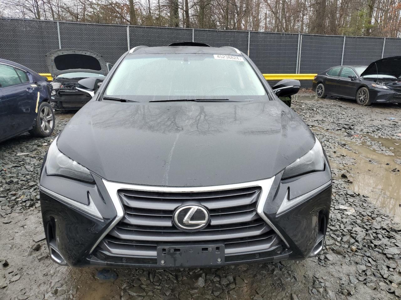 Photo 4 VIN: JTJBARBZ9G2084322 - LEXUS NX 