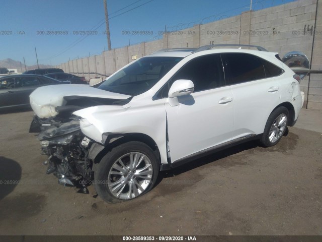 Photo 1 VIN: JTJBC1BA0A2025222 - LEXUS RX 450H 