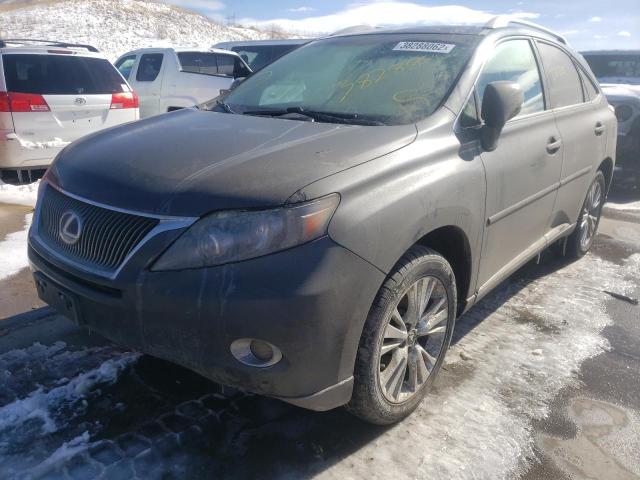 Photo 1 VIN: JTJBC1BA0B2033340 - LEXUS RX 450 