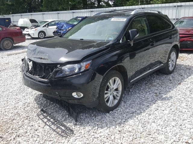 Photo 1 VIN: JTJBC1BA0C2433397 - LEXUS RX 450 