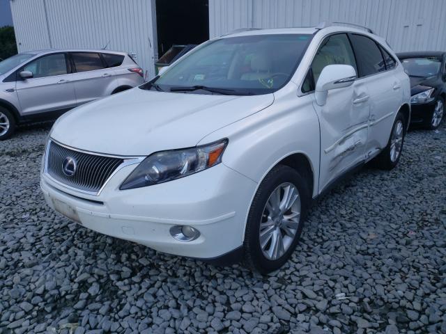 Photo 1 VIN: JTJBC1BA1A2016920 - LEXUS RX 450 