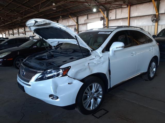 Photo 1 VIN: JTJBC1BA1A2020403 - LEXUS RX 450 