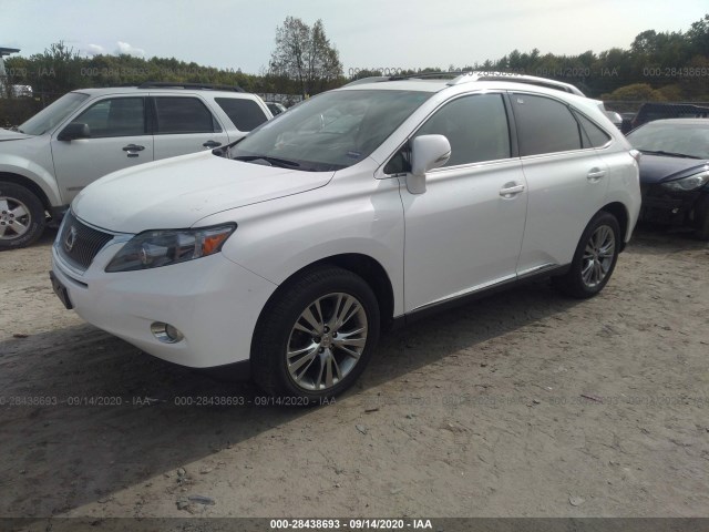 Photo 1 VIN: JTJBC1BA1A2021387 - LEXUS RX 450H 