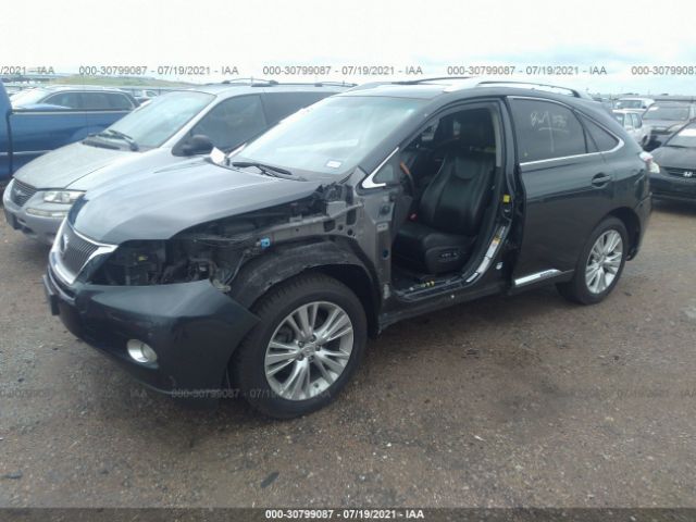 Photo 1 VIN: JTJBC1BA1A2023737 - LEXUS RX 450H 