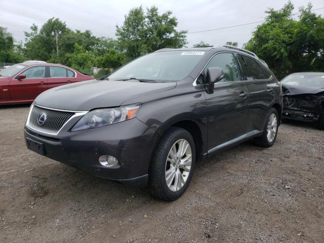 Photo 1 VIN: JTJBC1BA1A2412698 - LEXUS RX 450 