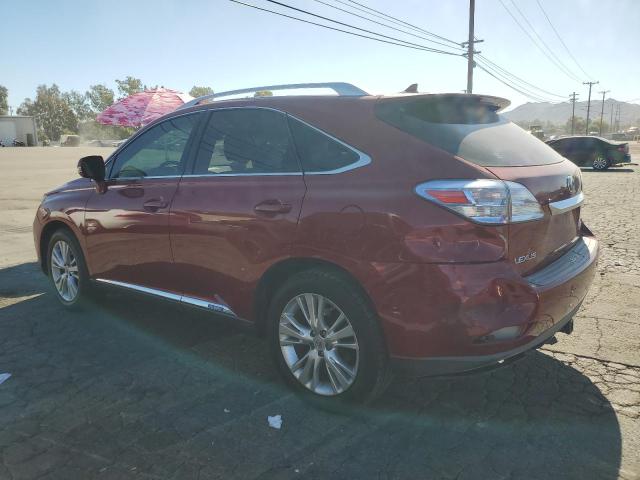 Photo 1 VIN: JTJBC1BA2A2005781 - LEXUS RX 450 