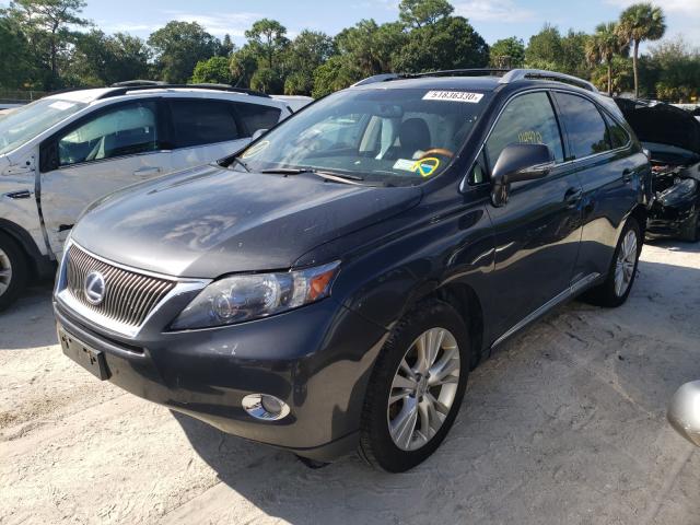 Photo 1 VIN: JTJBC1BA2B2039950 - LEXUS RX 450 