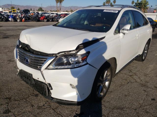 Photo 1 VIN: JTJBC1BA2D2449392 - LEXUS RX 450 