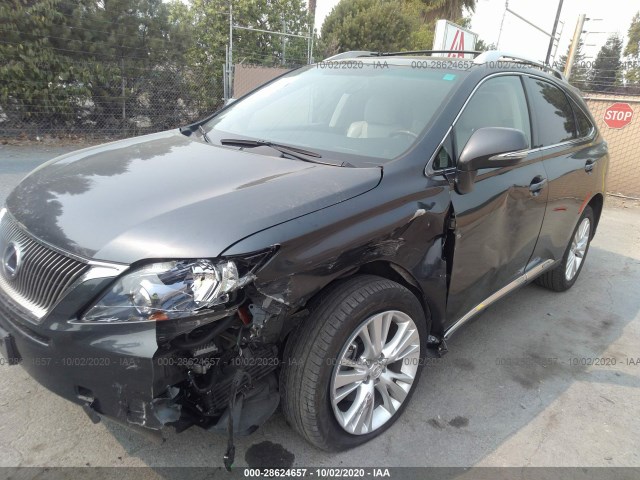 Photo 1 VIN: JTJBC1BA3A2031788 - LEXUS RX 450H 