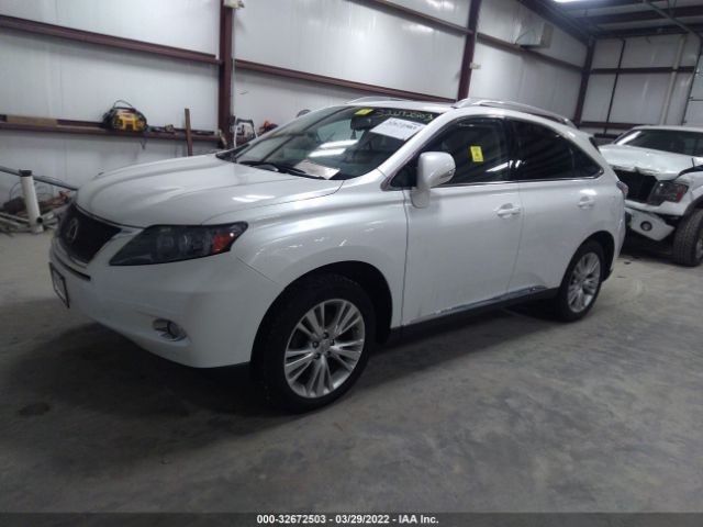 Photo 1 VIN: JTJBC1BA3A2403338 - LEXUS RX 450H 