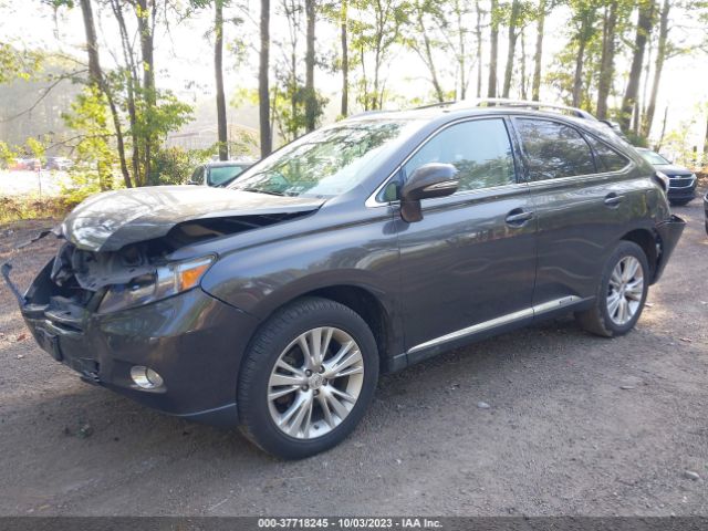 Photo 1 VIN: JTJBC1BA3A2408698 - LEXUS RX 450H 