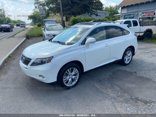 Photo 1 VIN: JTJBC1BA3B2037513 - LEXUS RX 450H 