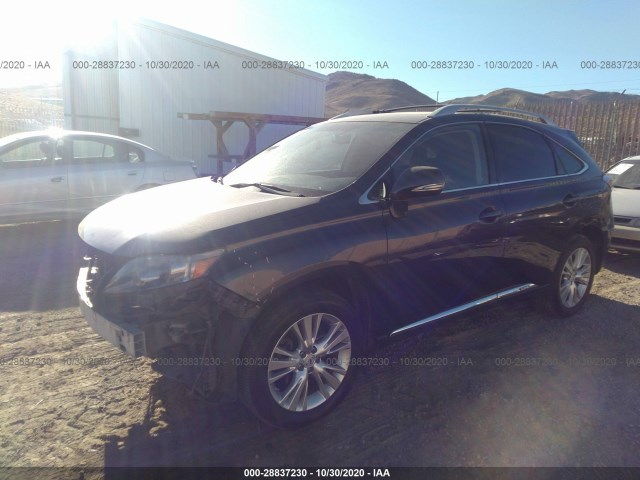 Photo 1 VIN: JTJBC1BA4A2010187 - LEXUS RX 450H 