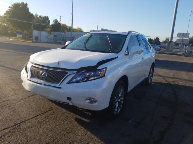 Photo 1 VIN: JTJBC1BA4A2012585 - LEXUS RX 450 