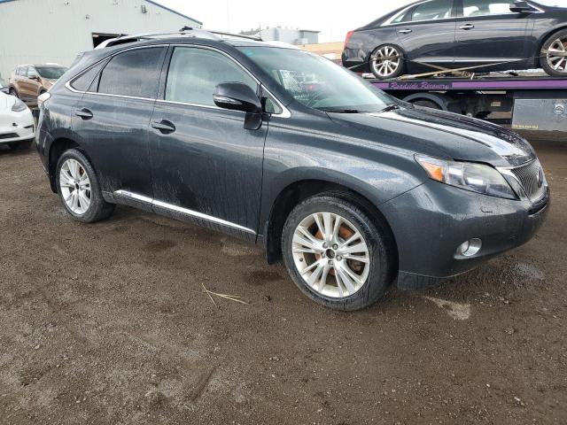 Photo 3 VIN: JTJBC1BA4A2020346 - LEXUS RX 450 