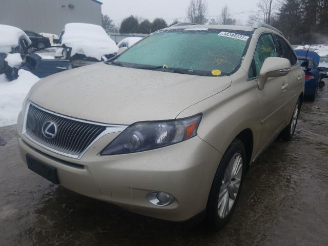 Photo 1 VIN: JTJBC1BA4B2033230 - LEXUS RX 450 