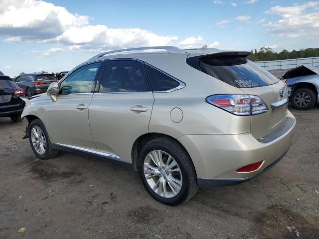 Photo 1 VIN: JTJBC1BA4B2417539 - LEXUS RX450 