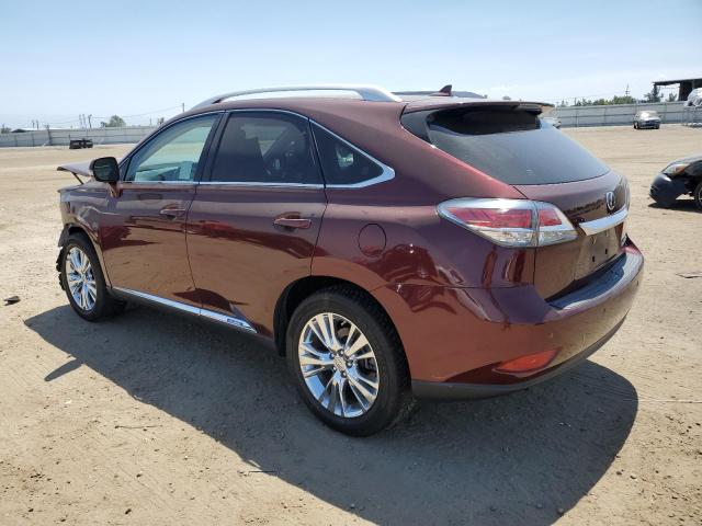 Photo 1 VIN: JTJBC1BA4D2438541 - LEXUS RX 450 