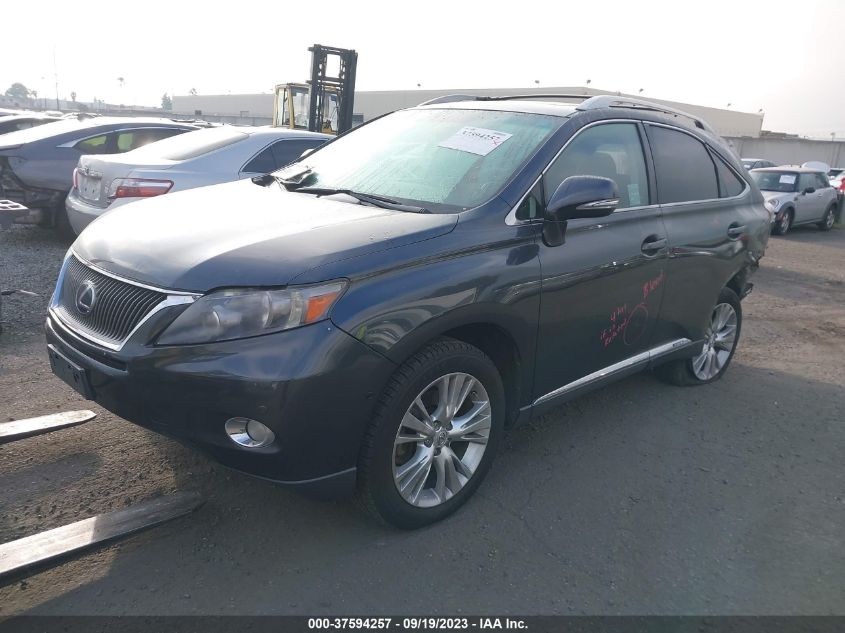 Photo 1 VIN: JTJBC1BA5A2013390 - LEXUS RX 