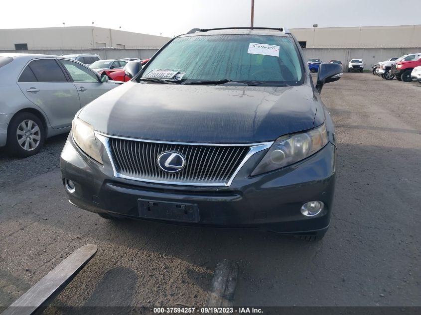 Photo 11 VIN: JTJBC1BA5A2013390 - LEXUS RX 