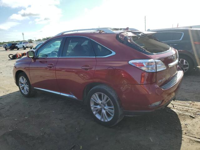 Photo 1 VIN: JTJBC1BA5A2023398 - LEXUS RX450 