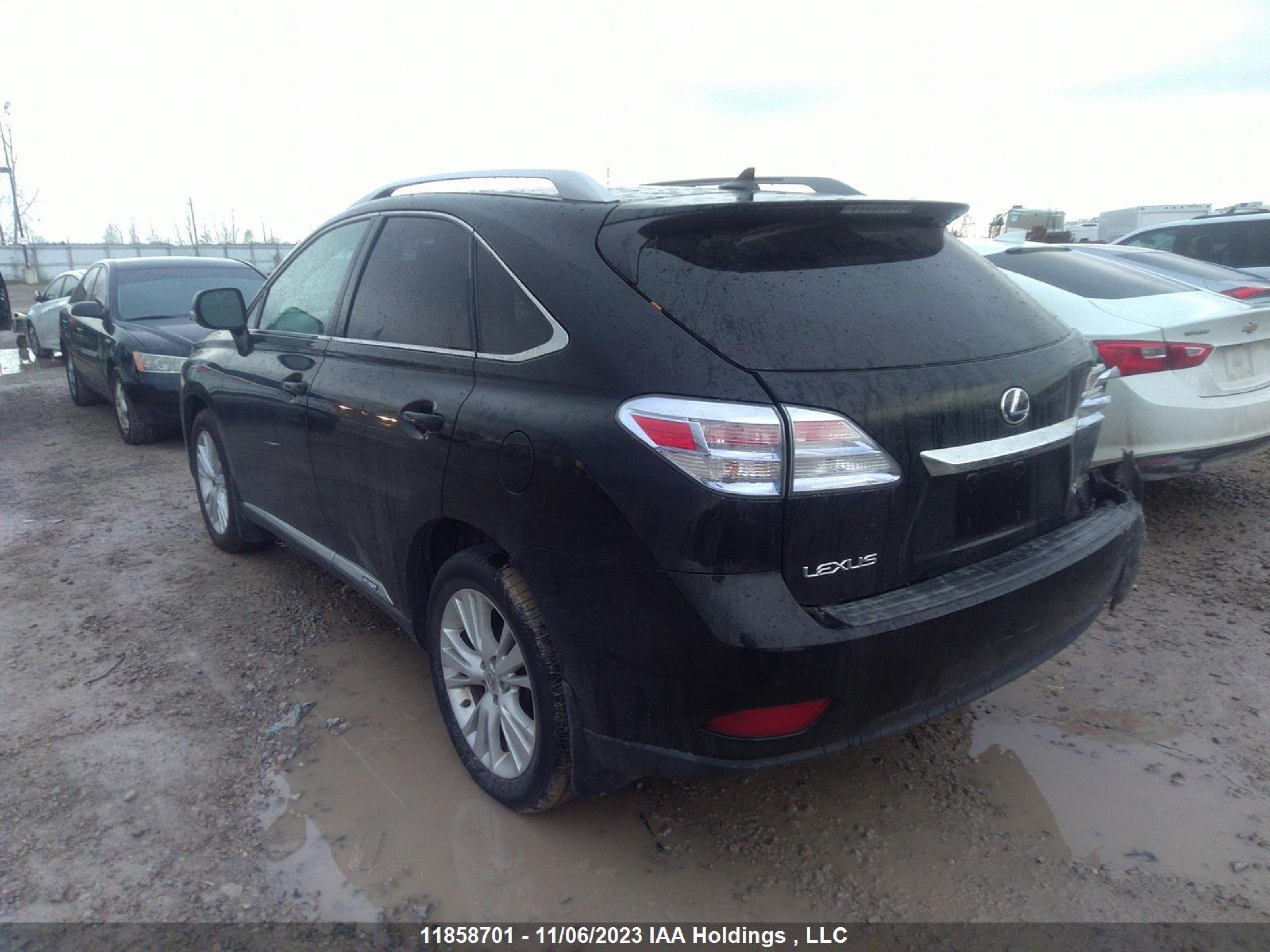 Photo 2 VIN: JTJBC1BA5A2024891 - LEXUS RX 