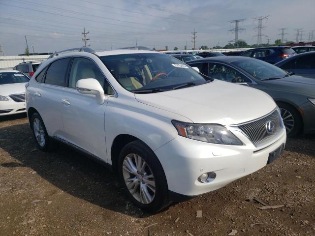 Photo 3 VIN: JTJBC1BA5B2035861 - LEXUS RX 450 