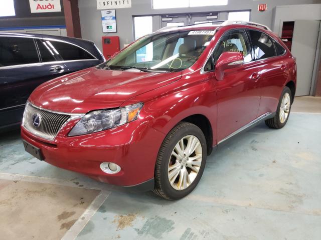 Photo 1 VIN: JTJBC1BA5B2041000 - LEXUS RX 450 