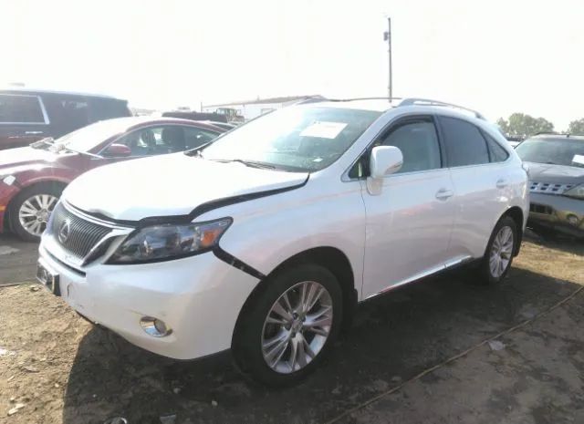 Photo 1 VIN: JTJBC1BA6A2010773 - LEXUS RX 450H 