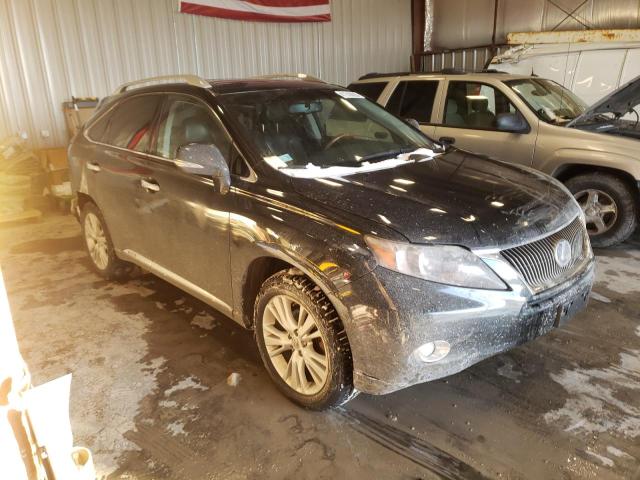 Photo 3 VIN: JTJBC1BA6A2030666 - LEXUS RX 450 