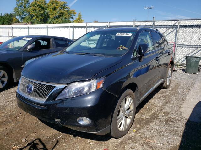 Photo 1 VIN: JTJBC1BA6A2415483 - LEXUS RX 450 