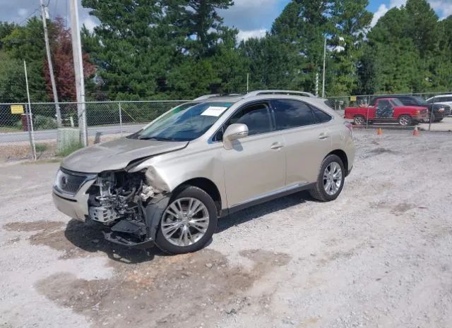 Photo 1 VIN: JTJBC1BA6B2032421 - LEXUS RX 450H 