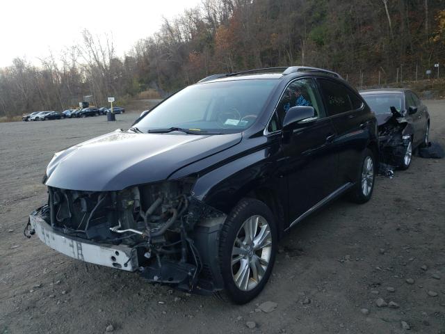 Photo 1 VIN: JTJBC1BA6B2045430 - LEXUS RX 450 