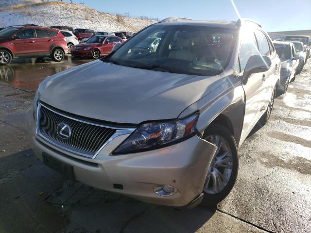 Photo 1 VIN: JTJBC1BA6B2421558 - LEXUS RX 450 