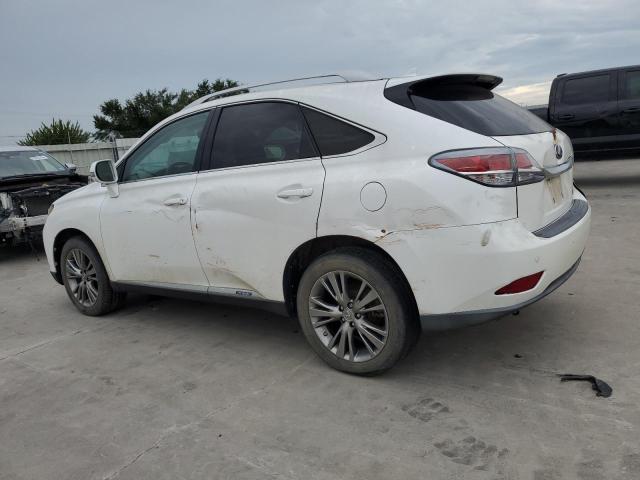 Photo 1 VIN: JTJBC1BA6D2050534 - LEXUS RX450 