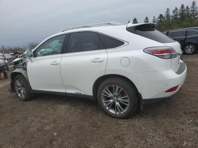 Photo 1 VIN: JTJBC1BA6D2055653 - LEXUS RX450 