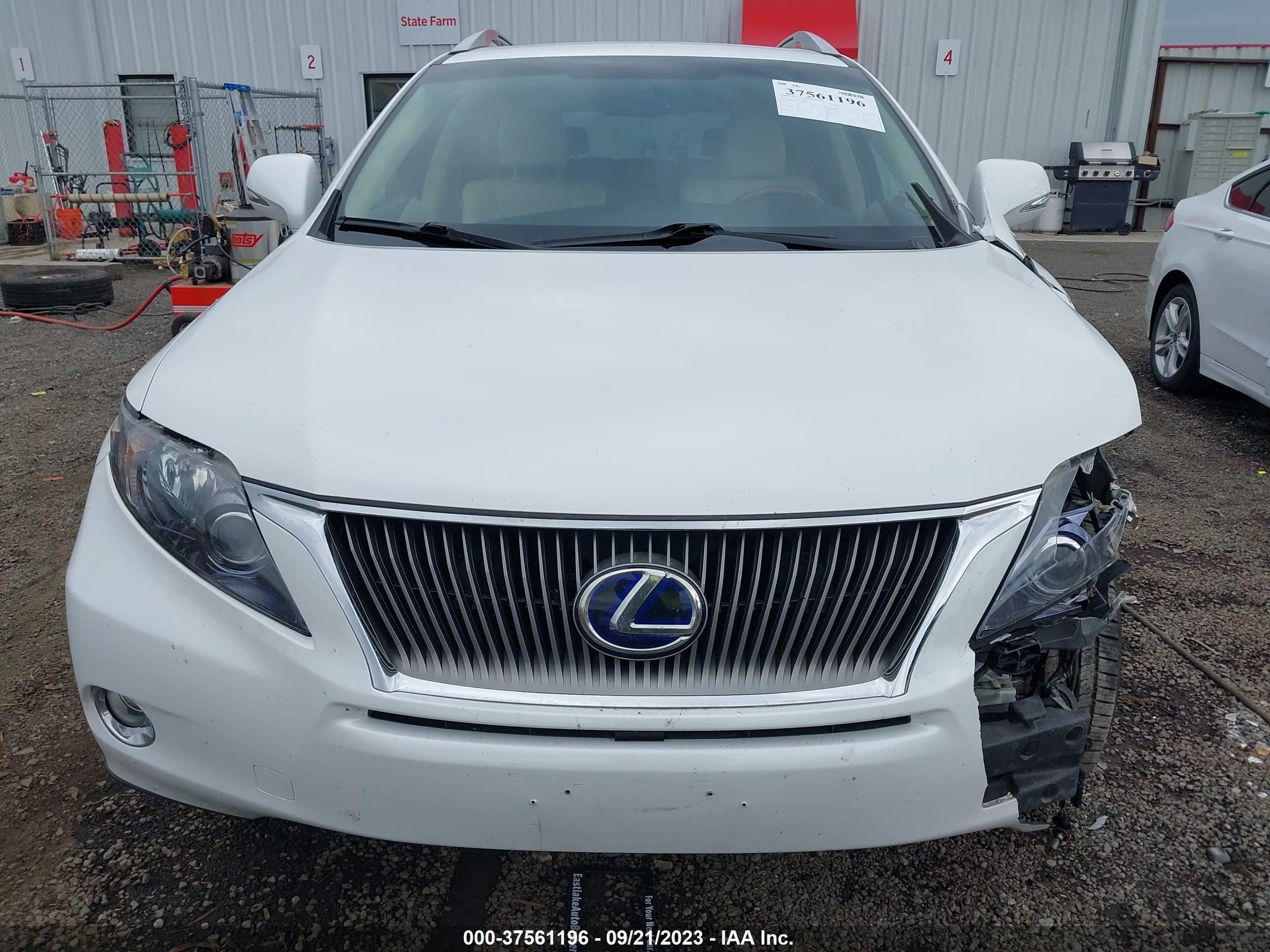 Photo 11 VIN: JTJBC1BA7A2006621 - LEXUS RX 