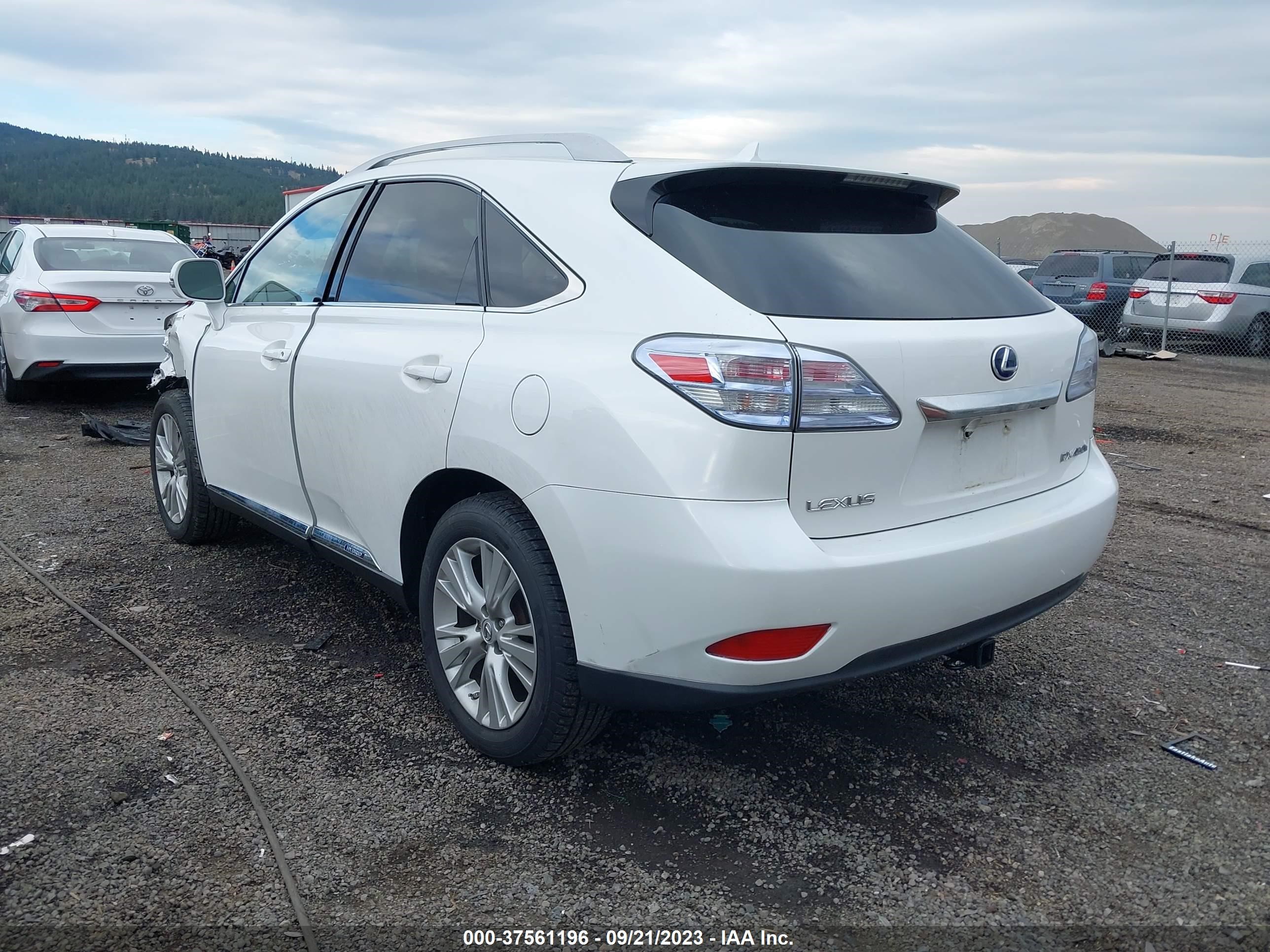 Photo 2 VIN: JTJBC1BA7A2006621 - LEXUS RX 