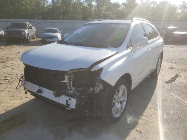 Photo 1 VIN: JTJBC1BA8A2003730 - LEXUS RX 450 