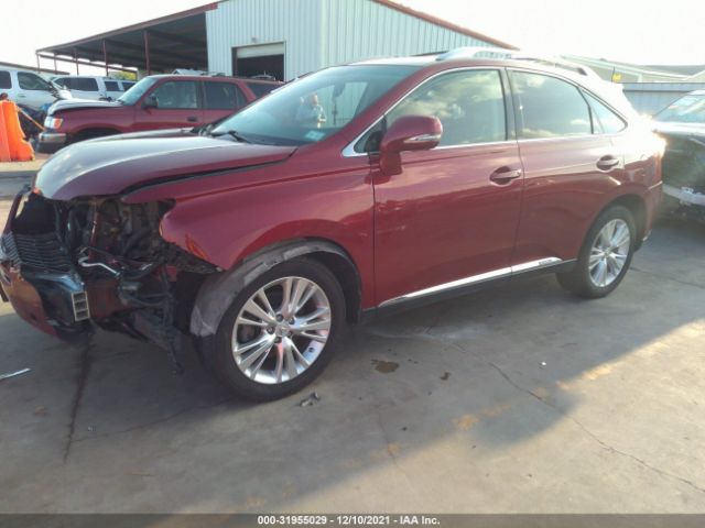 Photo 1 VIN: JTJBC1BA8A2011262 - LEXUS RX 450H 