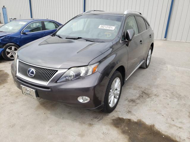 Photo 1 VIN: JTJBC1BA8A2405764 - LEXUS RX 450 