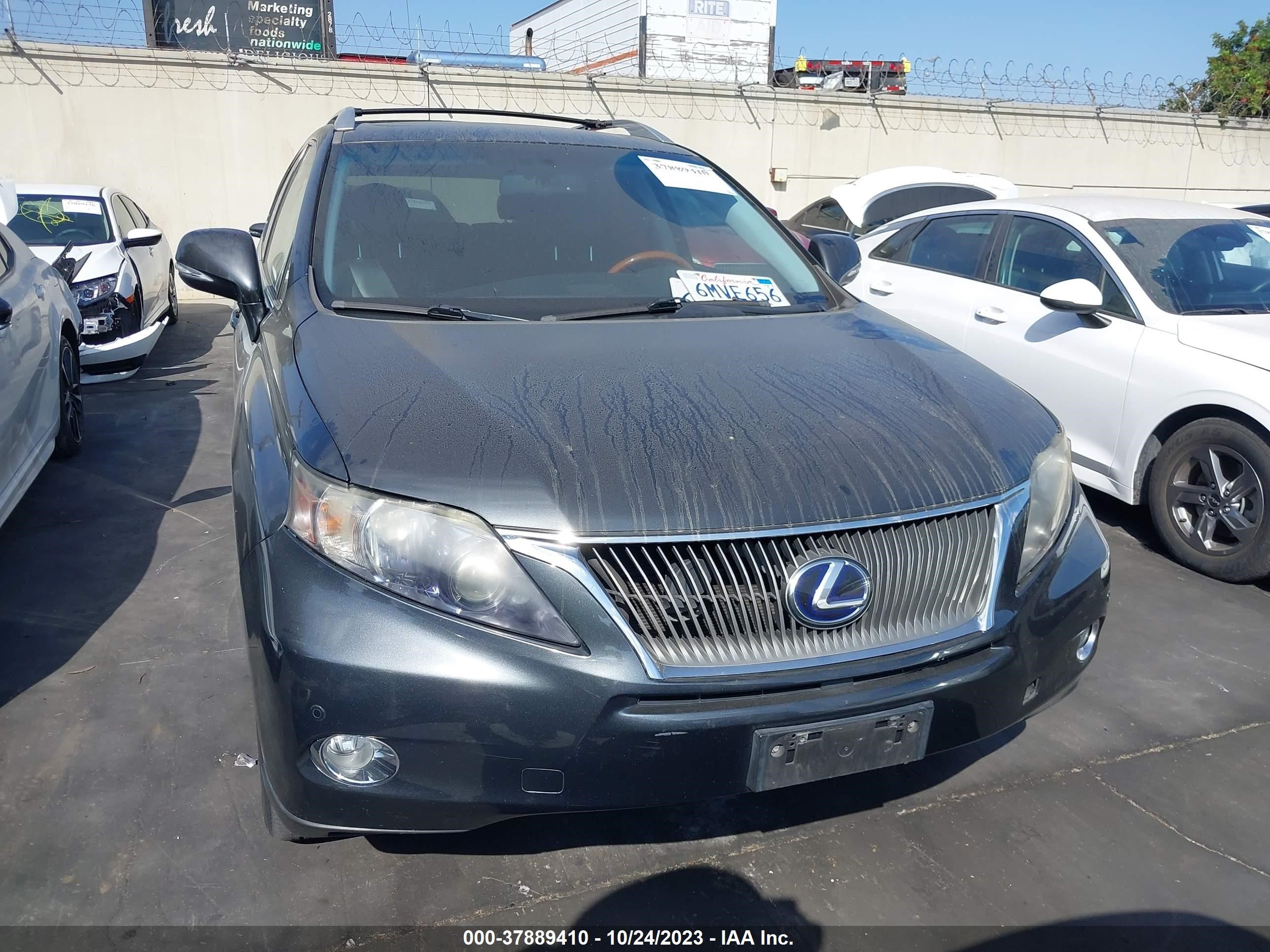 Photo 12 VIN: JTJBC1BA8A2411693 - LEXUS RX 