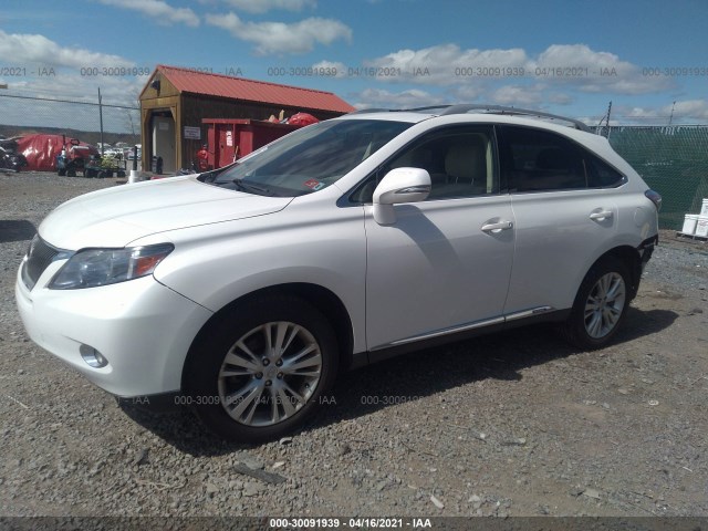 Photo 1 VIN: JTJBC1BA8B2039645 - LEXUS RX 450H 