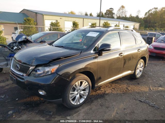 Photo 1 VIN: JTJBC1BA8B2043596 - LEXUS RX 450H 