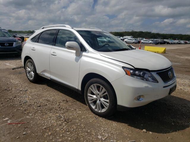 Photo 3 VIN: JTJBC1BA9A2022402 - LEXUS RX450 