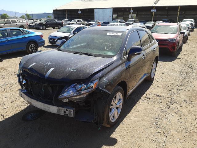 Photo 1 VIN: JTJBC1BA9A2030631 - LEXUS RX 450 