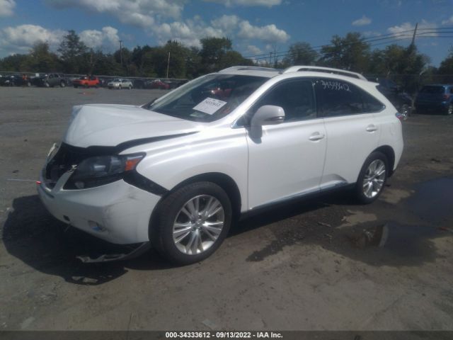 Photo 1 VIN: JTJBC1BA9A2410990 - LEXUS RX 450H 