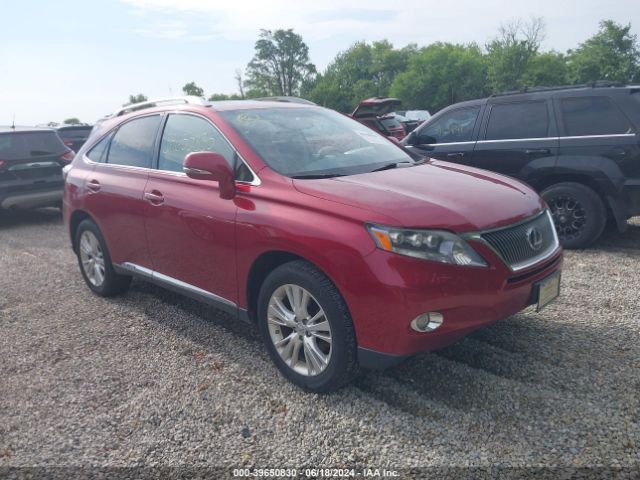 Photo 0 VIN: JTJBC1BA9A2412285 - LEXUS RX 