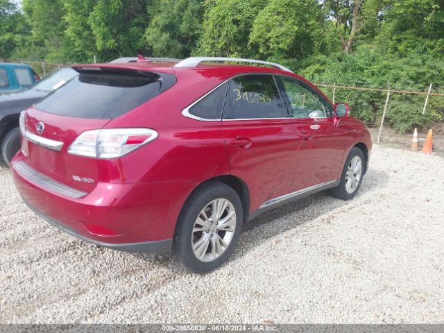 Photo 3 VIN: JTJBC1BA9A2412285 - LEXUS RX 