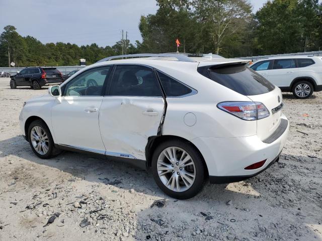 Photo 1 VIN: JTJBC1BA9B2036480 - LEXUS RX 450 